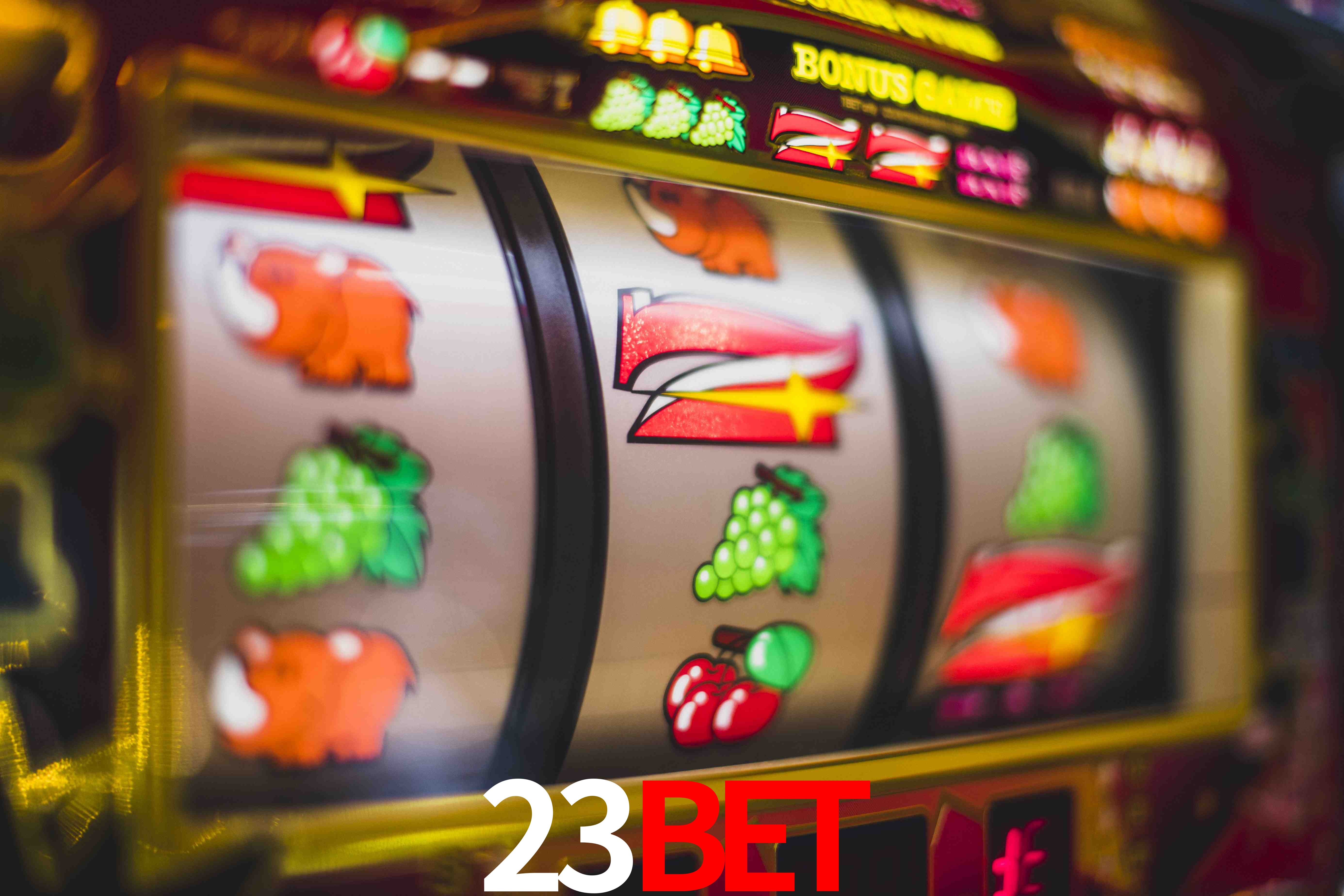 Crash Games Statistics 23BET