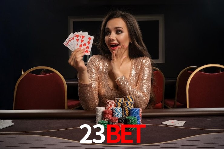 Interface Premium 23BET